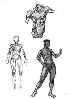 Reference 146