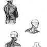 Reference 155