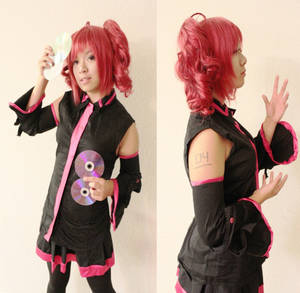 VOCALOID:Install Teto Kasane