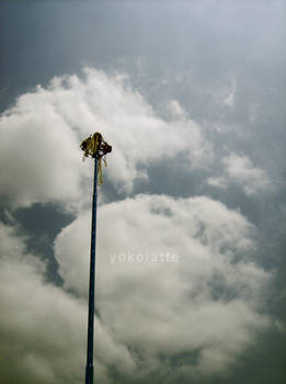 Voladores de papantla II