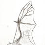 Pipistrelle bat sketch study