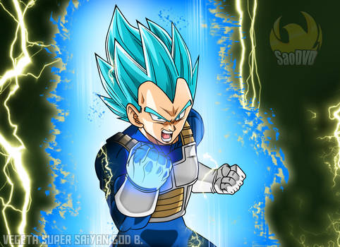 Vegeta Super Saiyan God Blue