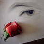 Eye_rose