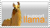 :llama: