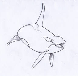 AnoOrca