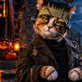 A Cat Disguised as Frankenstein
