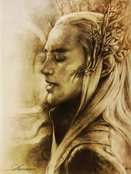 Mirkwood's king Thranduil