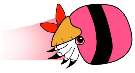 Powerpuff Nautilus