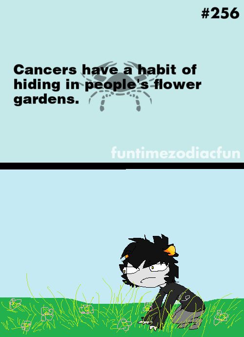 Flower Gardens