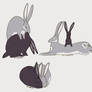 bonding bunnies