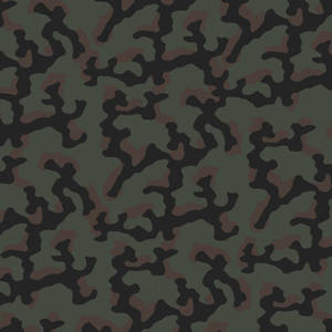 Camouflage - United States - CARC/NATO