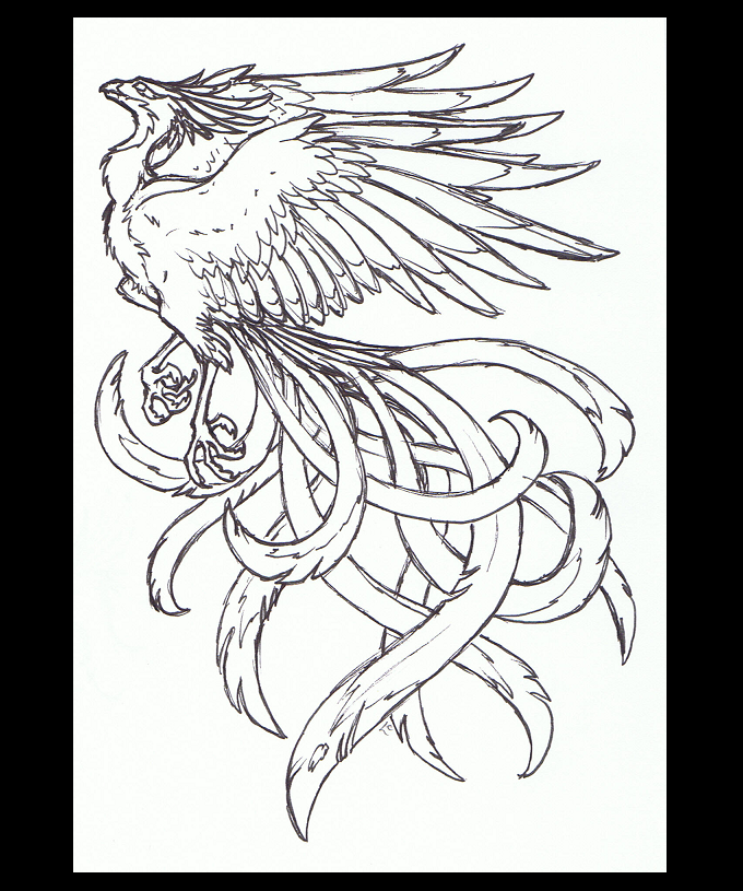 PhoenixTattoo-ReduxConcept