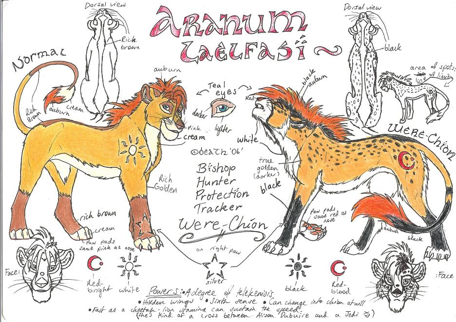 Aranum Laelfasi Ref 06