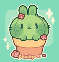 a cactus bun!