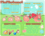 original flufferbun species guide! by plushpon