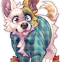 Flannel Puppy