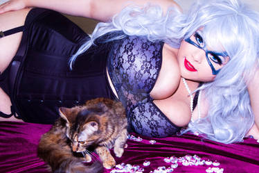 Black Cat and her Cat!