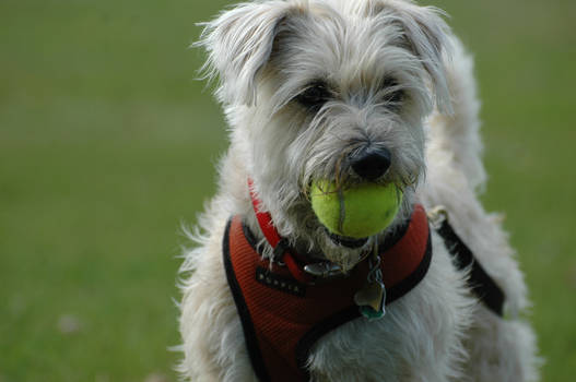 sandy with ball - 02