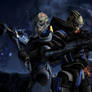 The Vakarian siblings - Garrus and Solona