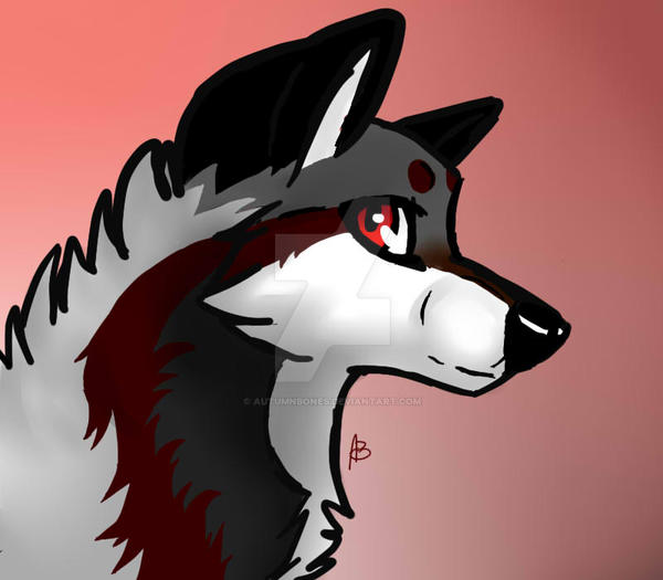 Wolf Character by AutumnBones on DeviantArt