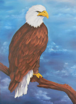 Stormy Eagle