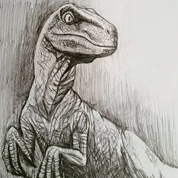 Jurassic World Velociraptor