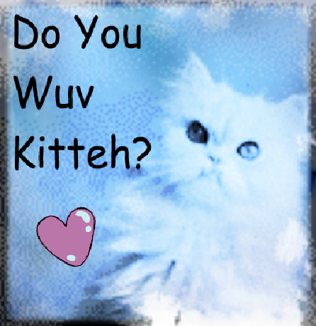 Do You Wuv Kitteh .:Icon:.