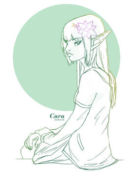 Cara