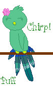 Chirp- A Tropical Bird: Pixel