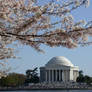 Jefferson Memorial in Spring