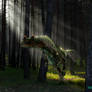 Ceratosaurus nasicornis