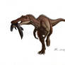 Baryonyx sp