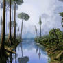 Carboniferous period