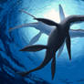 Courtship dance Liopleurodon rossikus.