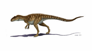 Neovenator salerii