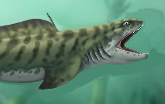 Diplodoselache ancient shark