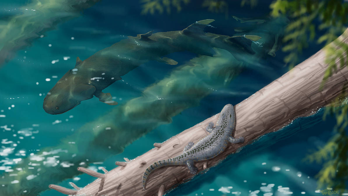 Земноводные палеозоя. Гинерия рыба. Гинерия динозавр. Гинерпетон амфибия. Девонский период АКАНТОСТЕГА.