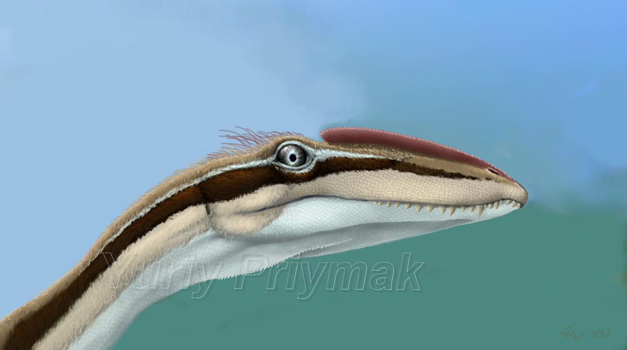 Megapnosaurus kayentakatae by Plioart on DeviantArt