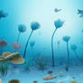 A garden of sea lilies.