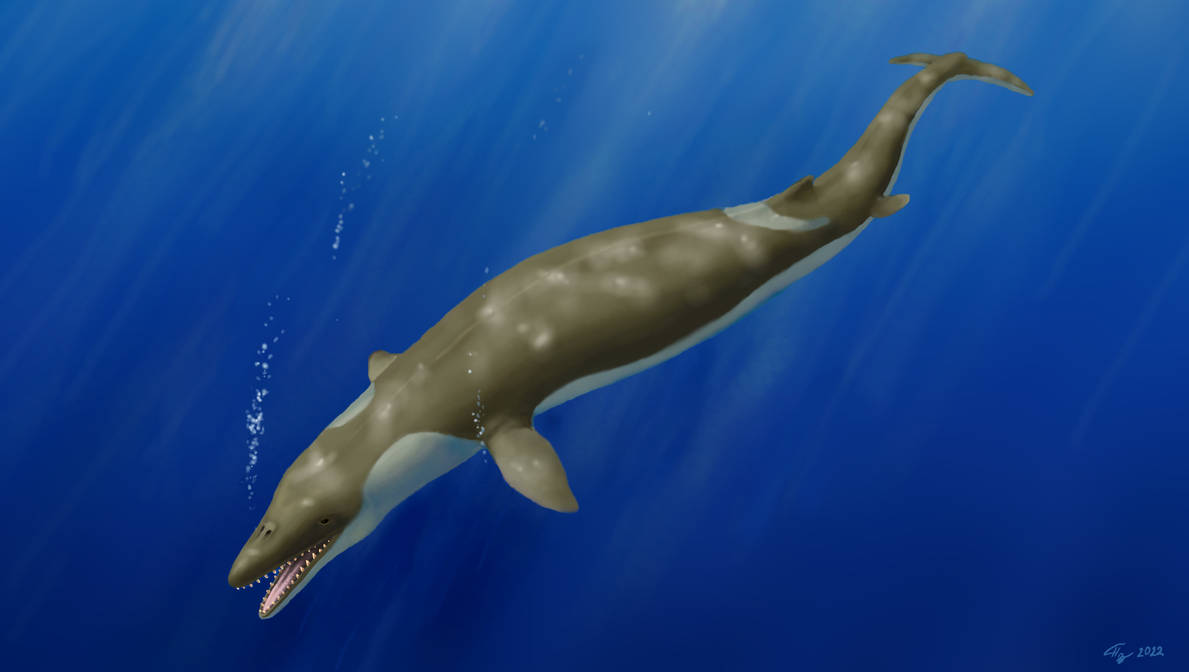 Basilasaruous Basilosaurus. by Plioart on DeviantArt