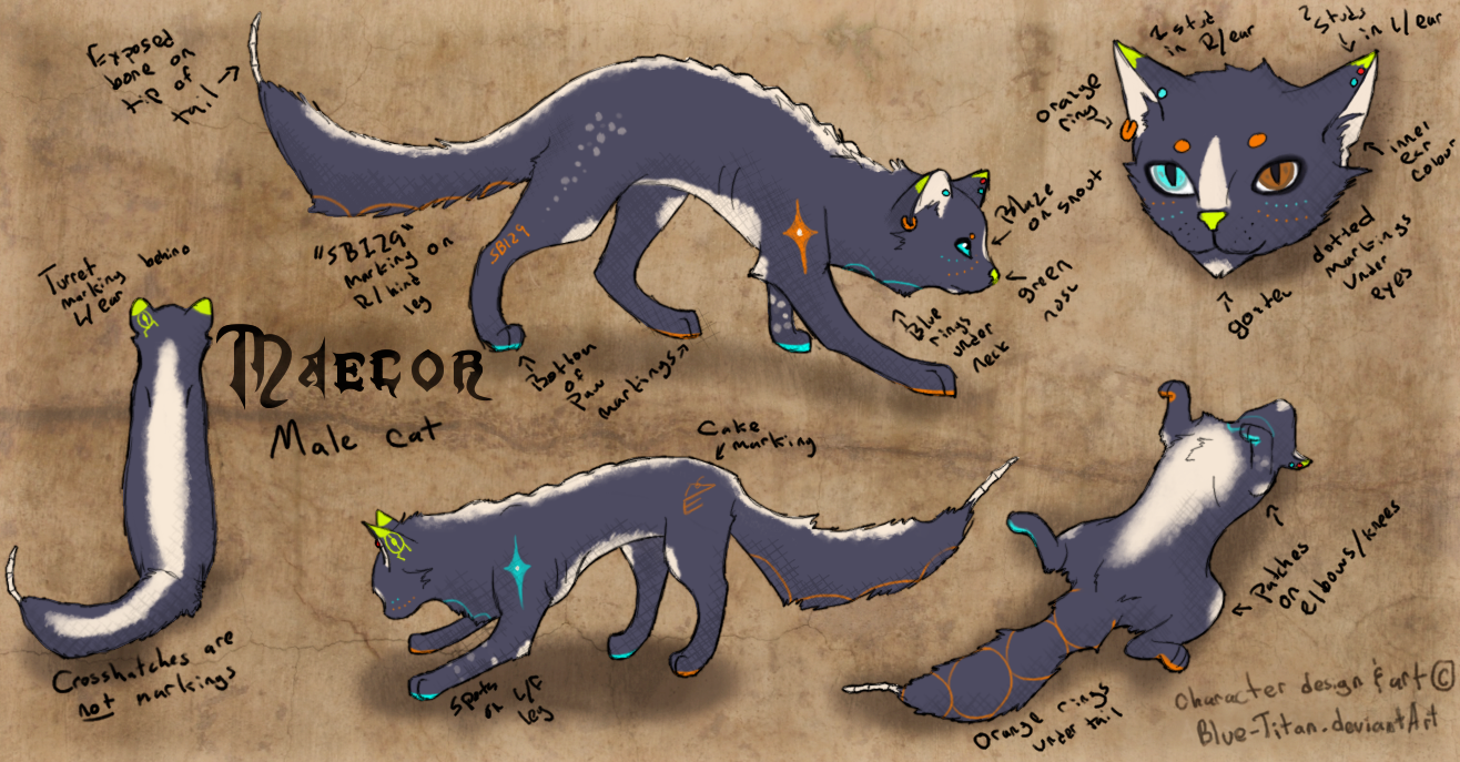 Maecor ref sheet