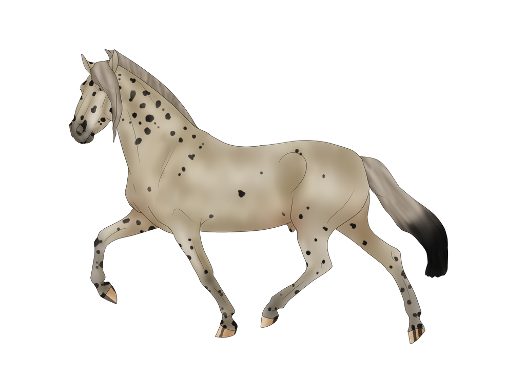 DRM Clockwork by Concinnity-Castle on DeviantArt