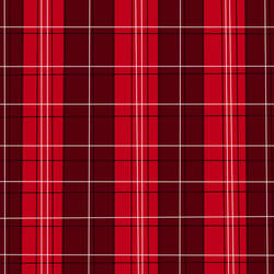 Red plaid Skirt and pants Pattern