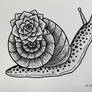 Succulent Snail
