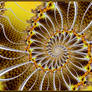 Sunflower Spiral