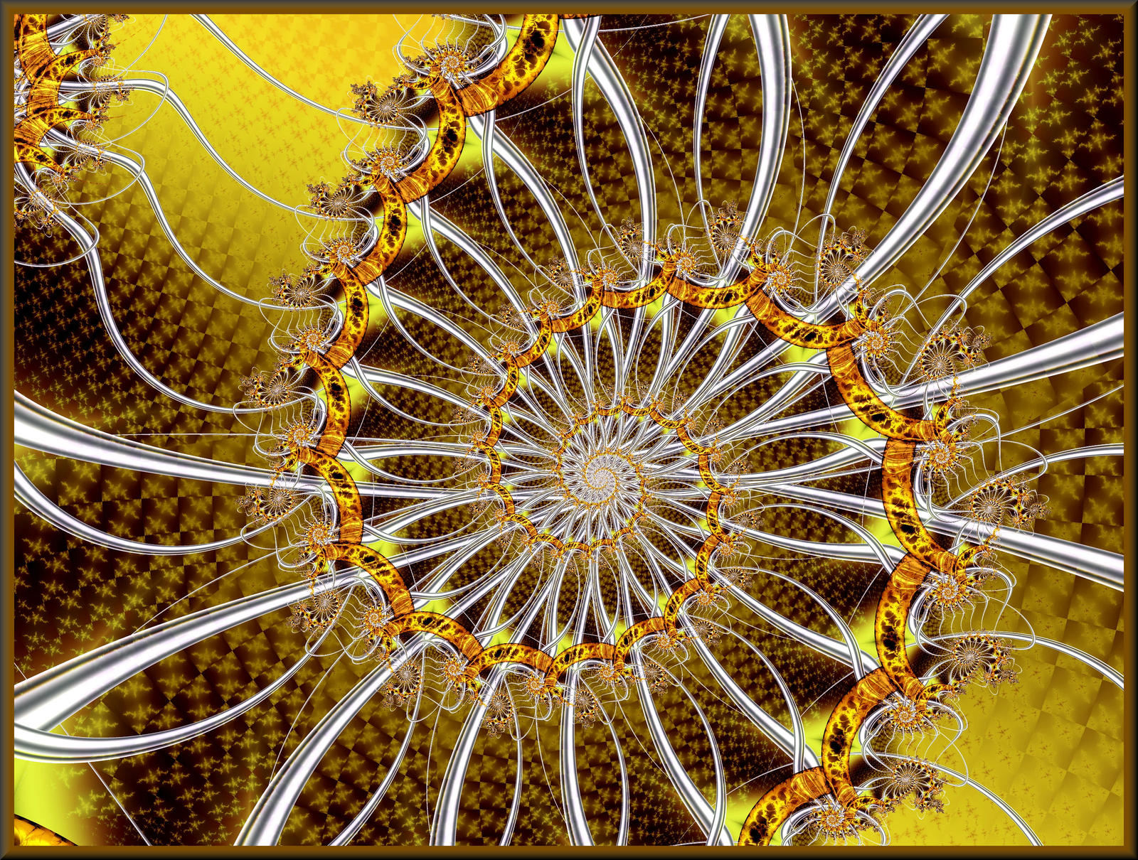 Sunflower Spiral