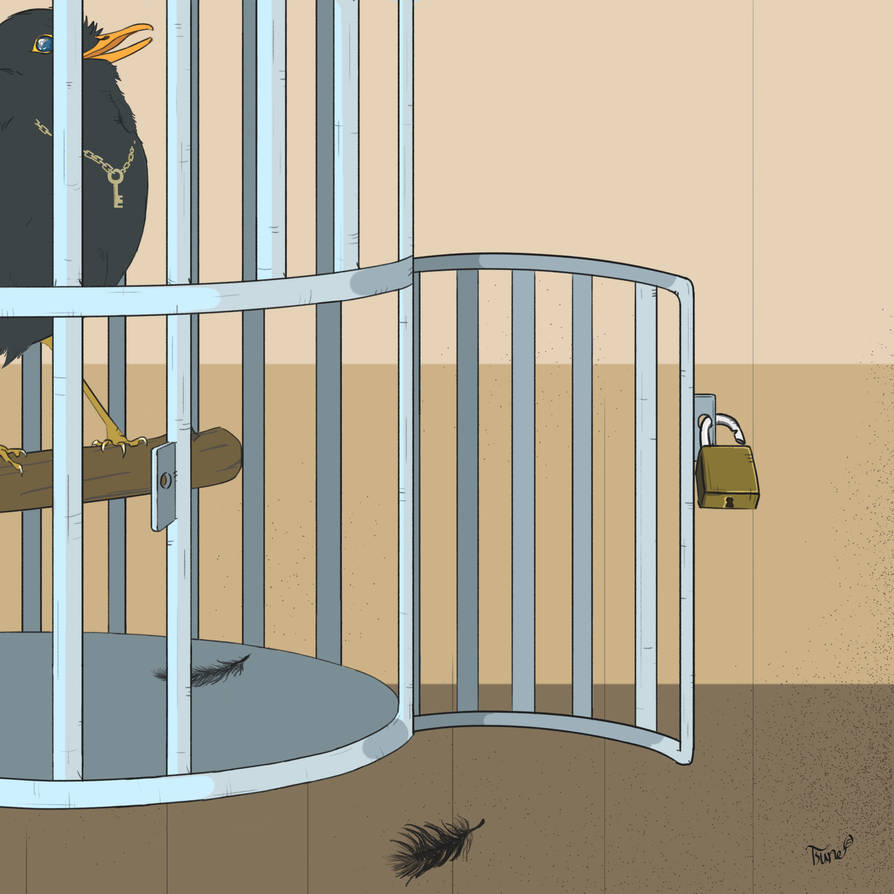Open Cage by tsuna648 on DeviantArt