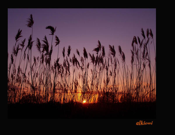 Spring sunset