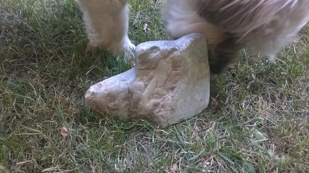 Stone looks like dog