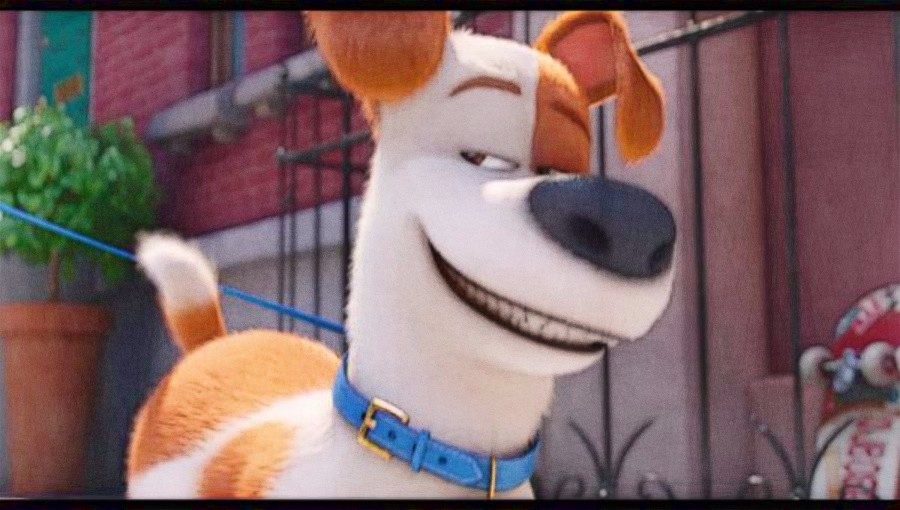 Max - The Secret life of pets